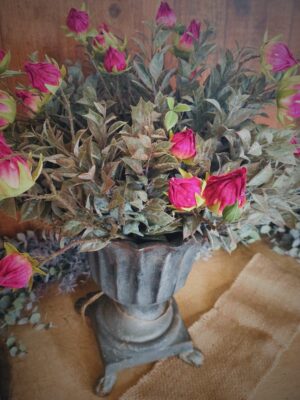 dhs-vaze-hibiscus-lauro