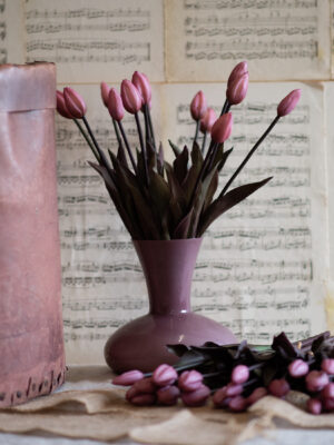 dhs-bunch-of-old-pink-tulips