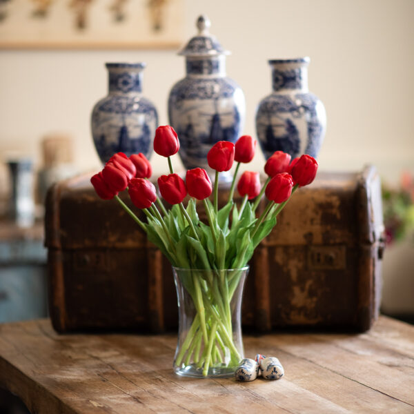 dhs-red-tulips-1
