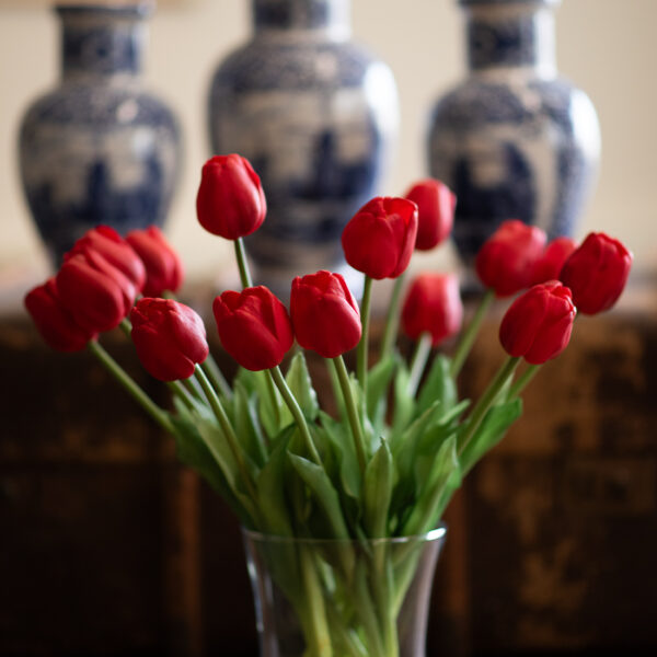dhs-red-tulips-2