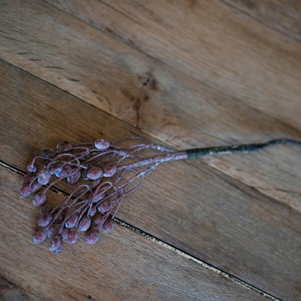 dhs-olive-bush-coffee-1