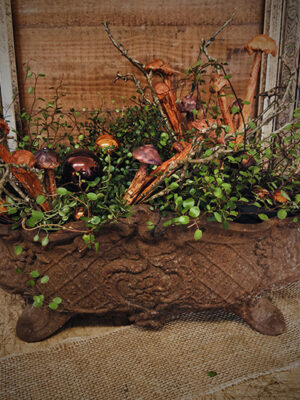 dhs-mushroom-on-a-twig