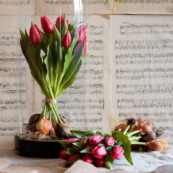 dhs-tulpenschoof-rood-nw