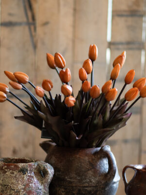 dhs-bunch-of-rust-colored-tulips