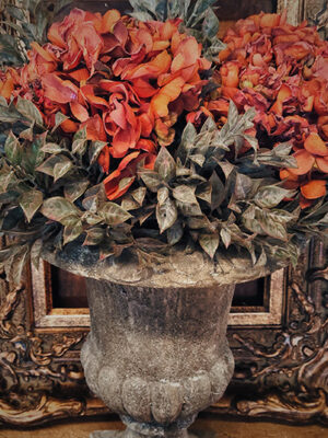 dhs-hydrangea-grand-rusty-brown