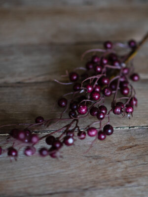 dhs-burgundy-cranberry