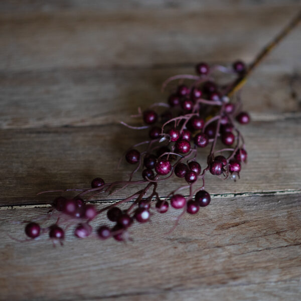 dhs-burgundy-cranberry