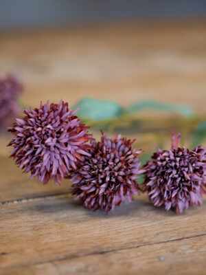 dhs-brown-chrystanheum-with-a-touch-of-rus