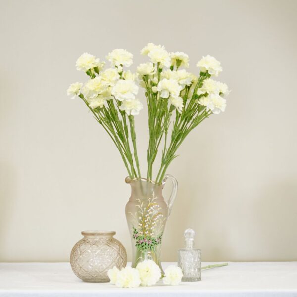 dhs-full-crea-dianthus