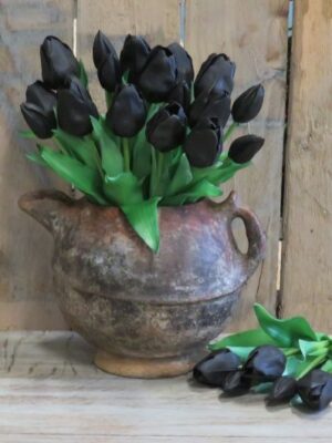 dhs-home-living-black-tulips1