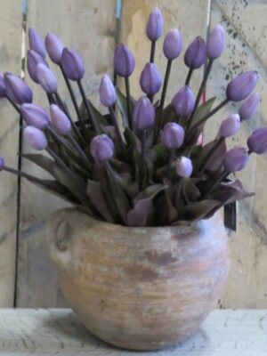 dhs-home-living-purple-tulips1