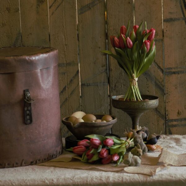 dhs-tulpenschoof-rood-sfeer