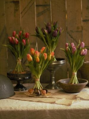 dhs-tulpenschoven-all-sfeer