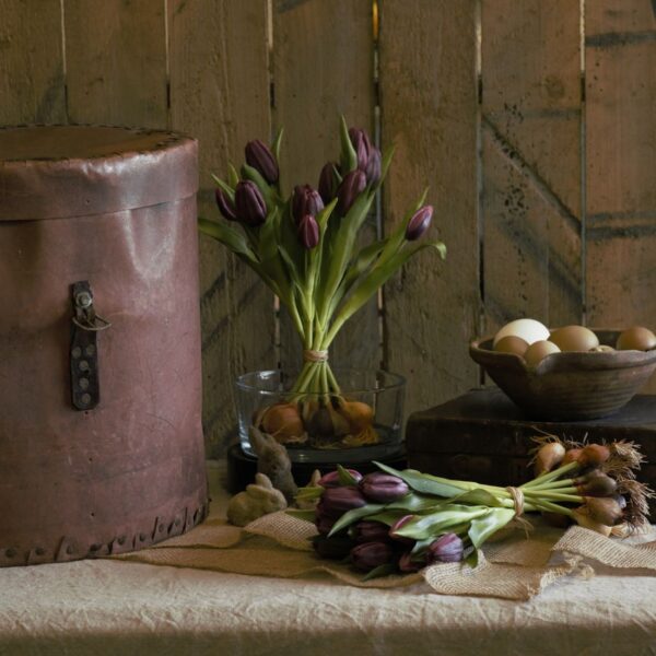 dhs-tulpenshoof-plum-sfeer